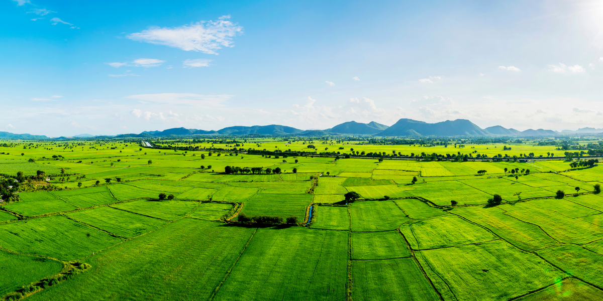 Navi Mumbai Land Investment